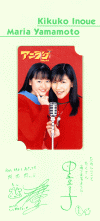 [ar-tc-kikumari1.jpg]
